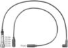 BERU ZEF1220 Ignition Cable Kit